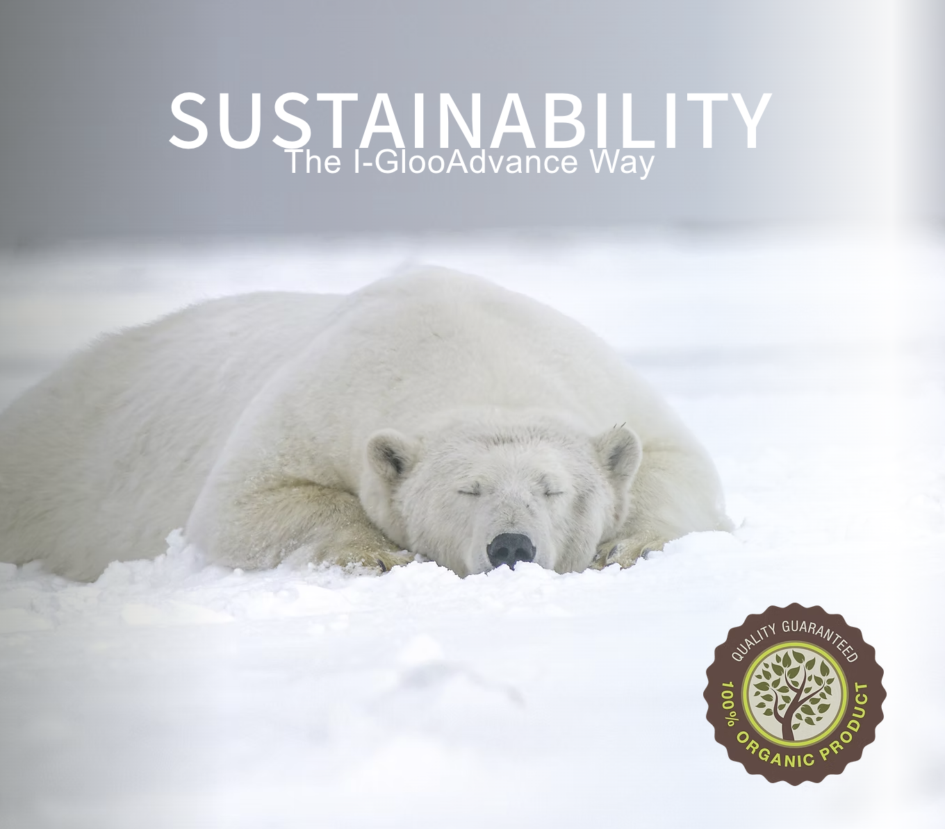 Sustainability - The i-GlooAdvance Way